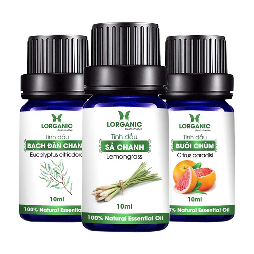 [HCM]Combo 3 loại tinh dầu sả chanh + bạch đàn chanh + bưởi chùm Lorganic (10ml x3)