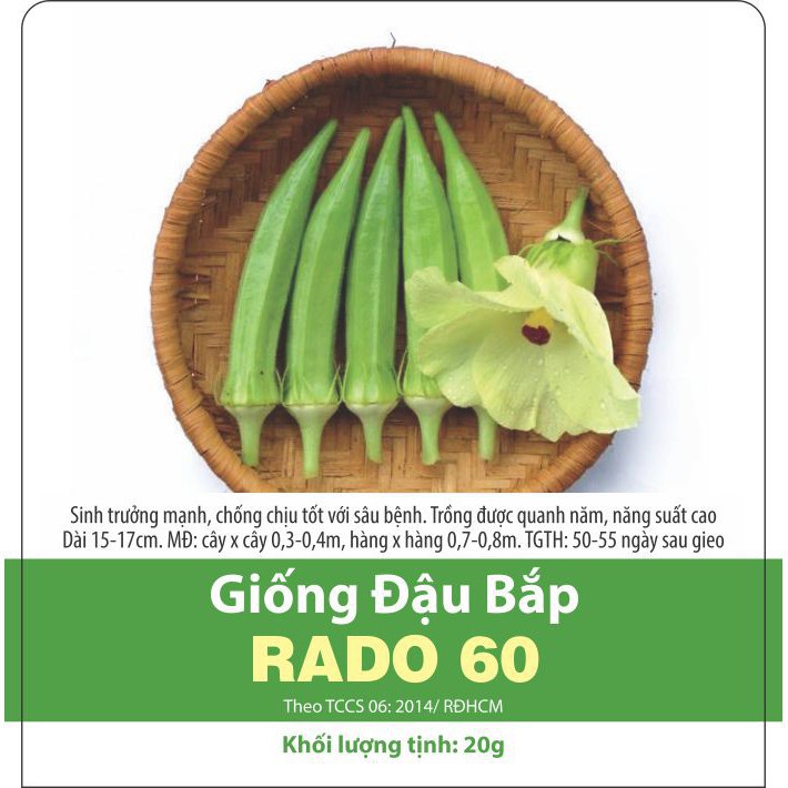 HẠT GIỐNG RAU - RẠNG ĐÔNG - ĐẬU BẮP RADO 60