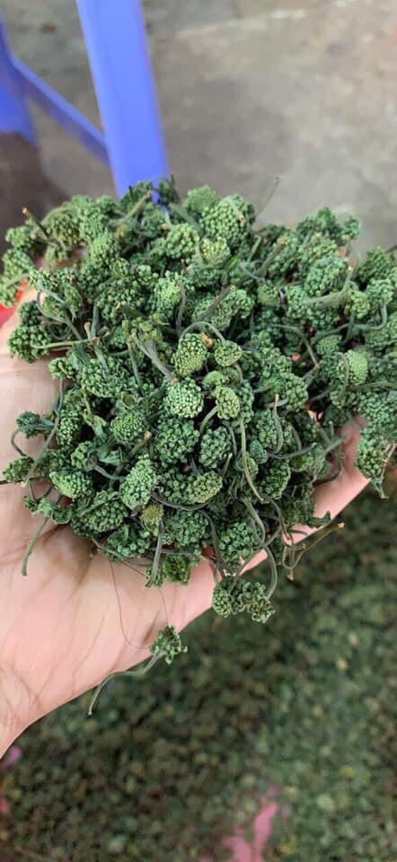 Nụ hoa tam thất - Hà Giang (0,5kg)