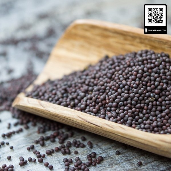1KG Hạt giống rau cải bẹ mào gà