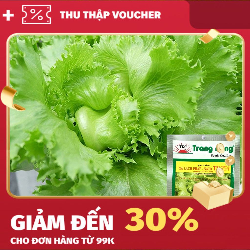 Hạt Giống Xà Lách Pháp Trang Nông 1gram