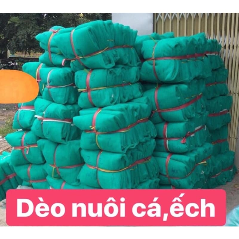 Vèo nuôi ếch, cá lưới Thái