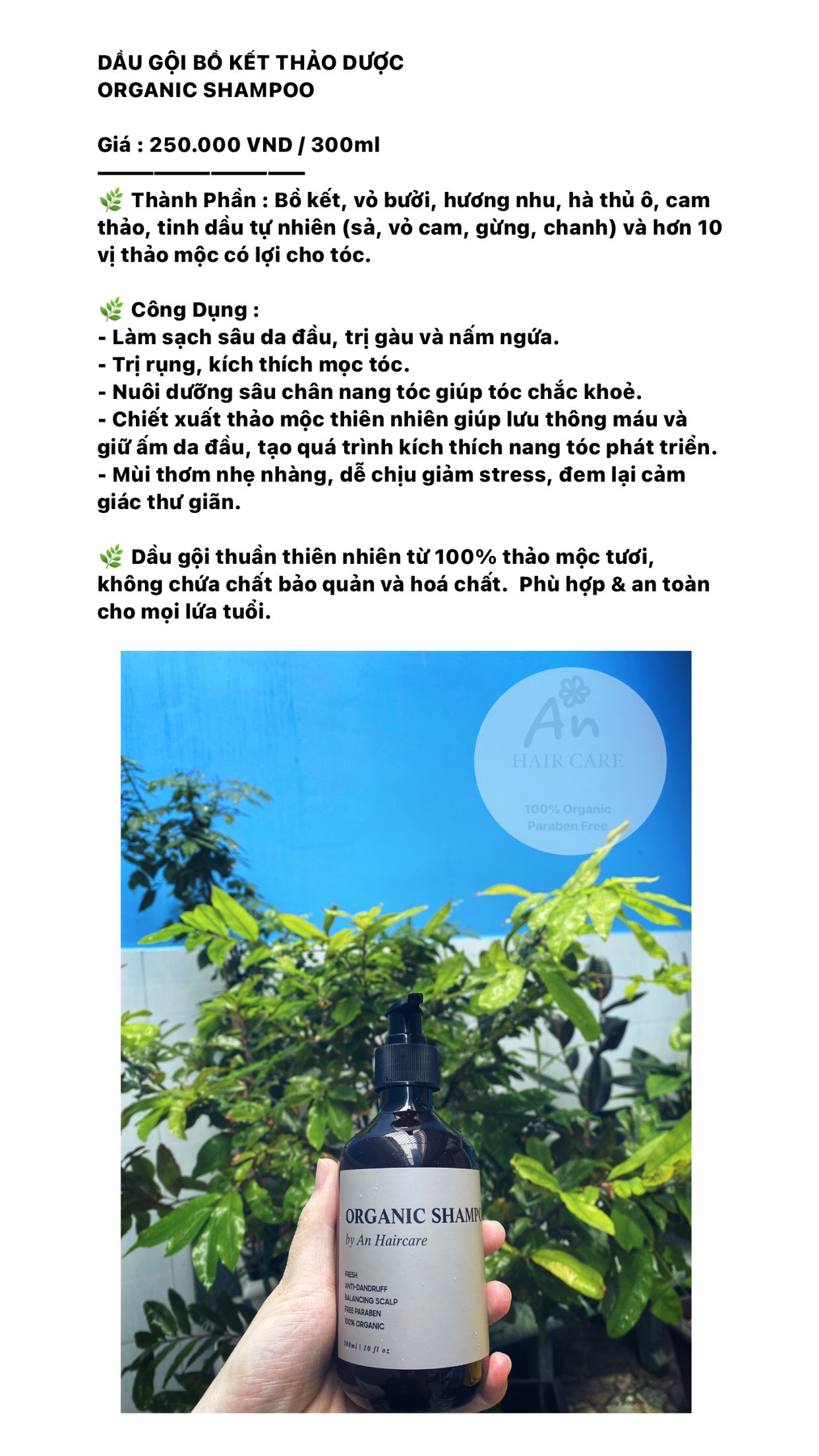 DẦU GỘI THẢO DƯỢC ORGANIC