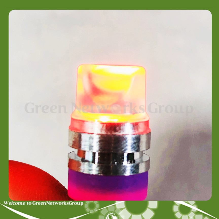 Đèn xi nhan 7 màu chân T10 Greennetworks ( 1 Cặp )