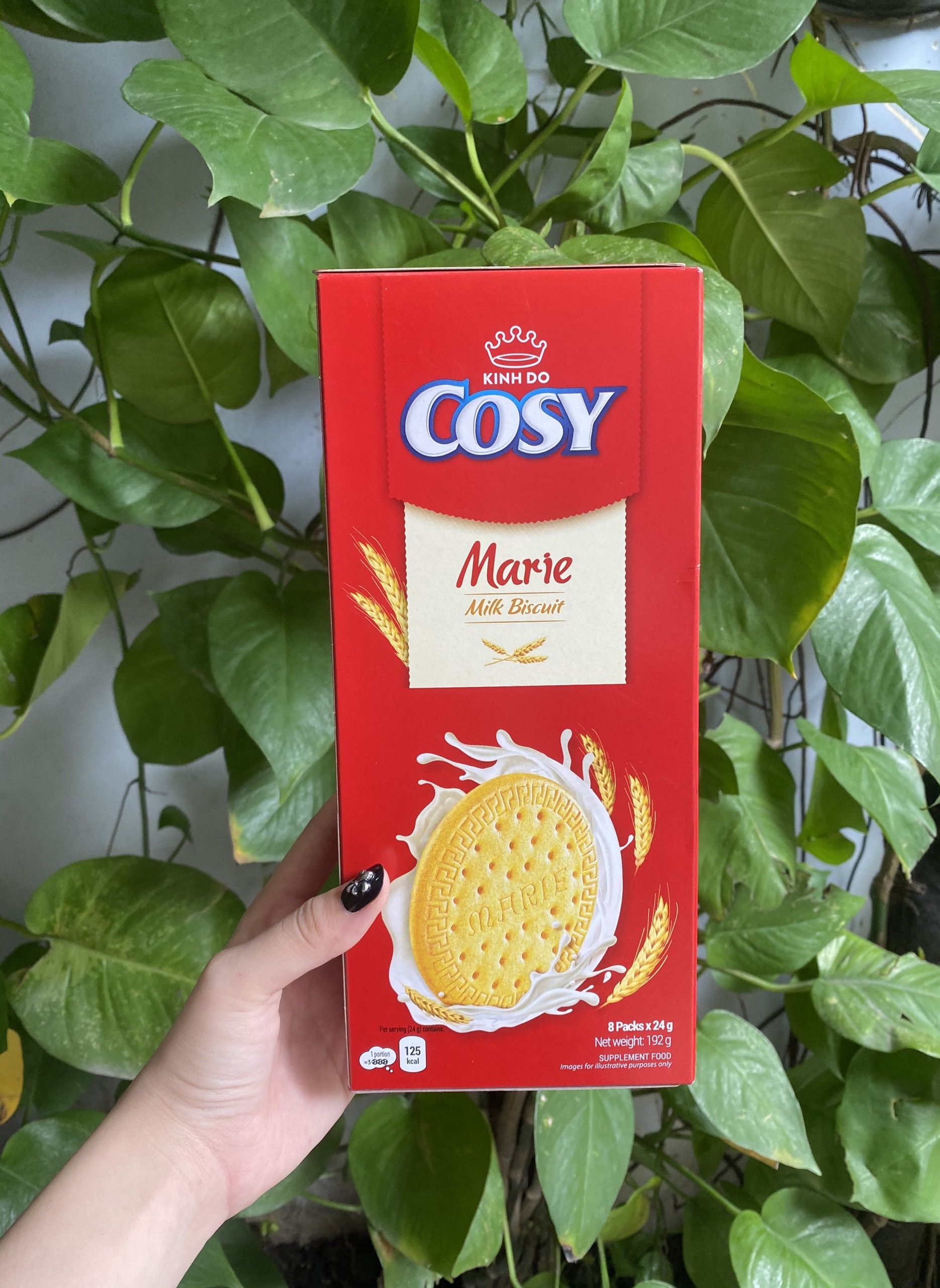Cozy Marie Milk Flavored Cookies (Box of 192g)