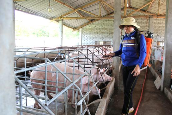 THUỐC SÁT TRÙNG PHỔ RỘNG (Novacide)