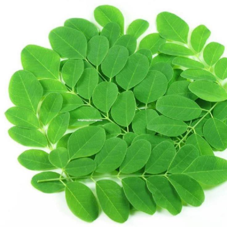 NEW- 50H - HẠT GIỐNG RAU CHÙM NGÂY