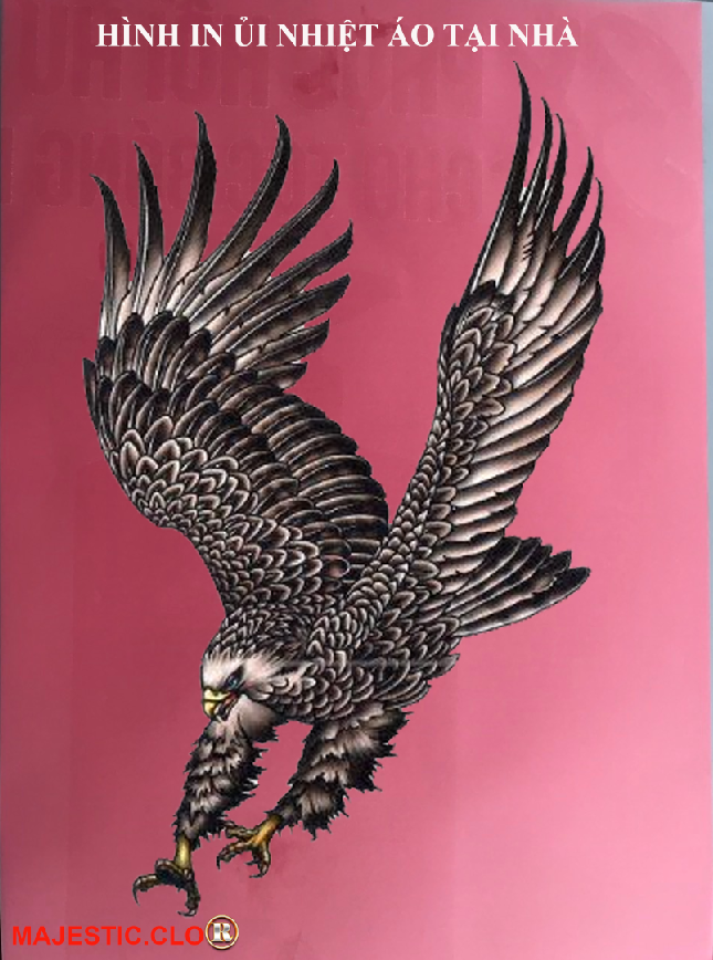 Sticker Logo American Eagle FOR IRON CLOTHER