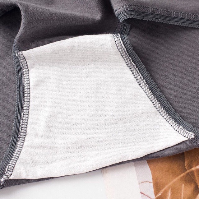 Quần Lót Cotton Cạp Lưới QL01 Larosa