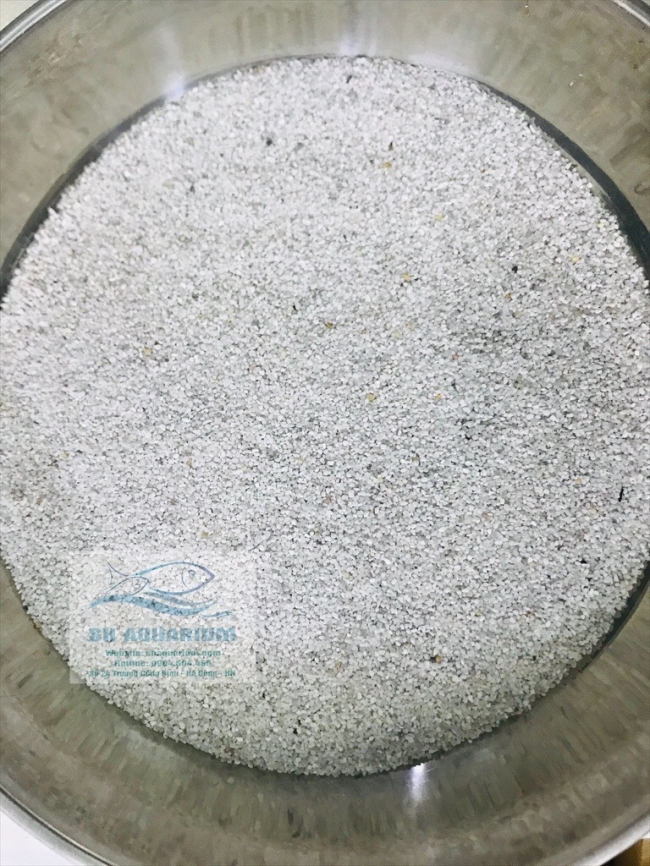 [HOÀN TIỀN 10%]CÁT TRẮNG HẠT TO (1KG)