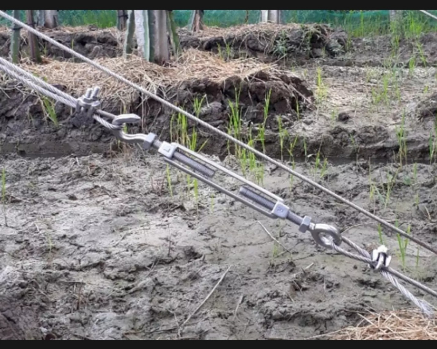Combo 2 Tăng đơ mạ kẽm phi 6M 8M 10M.hanghoagiavip