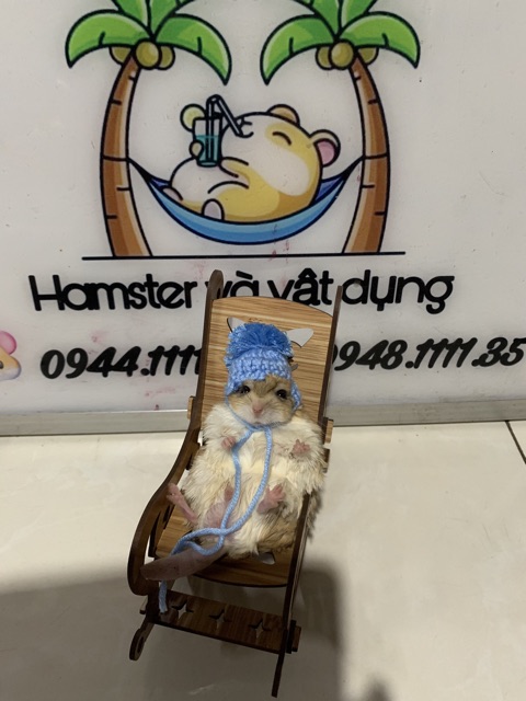 Nón cho hamster - Có dây buộc
