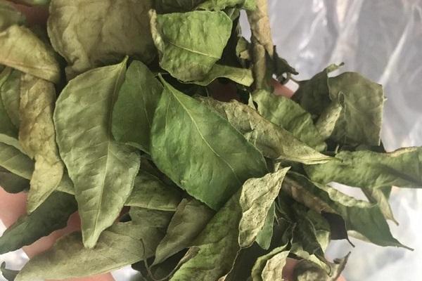 Lá Cà Ri Ông Chà Và 150g (Curry Leaf)