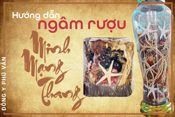 Ngâm minh mạng đón tết nào pv