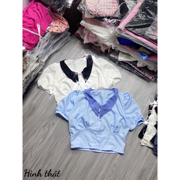 Áo sơmi croptop phối cổ