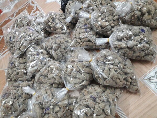 300g củ tam thất