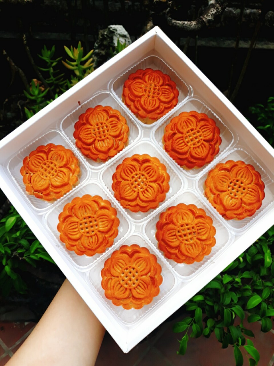 Khay trung thu đựng bánh set 100 khay 150g 200g