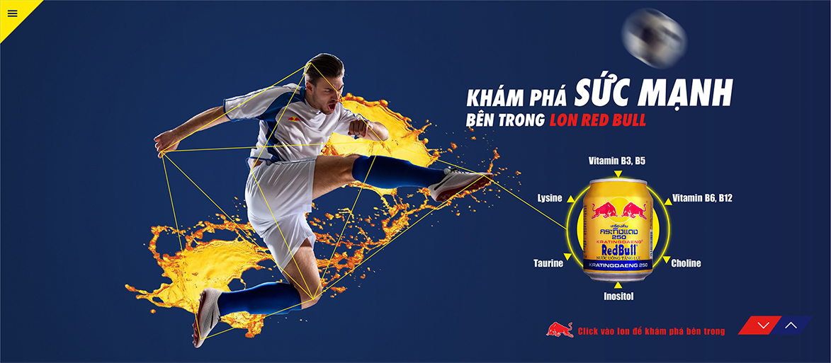 LỐC 6 LON REDBULL BÒ HÚC VIỆT 250ML