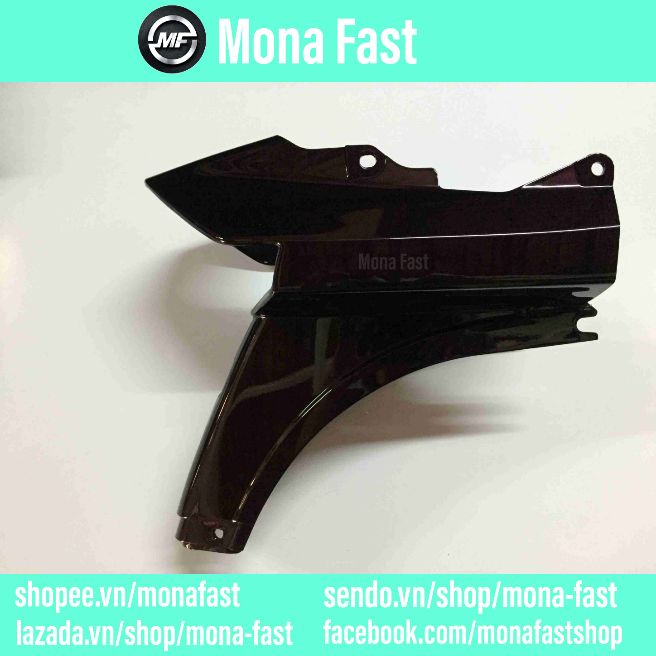 Đuôi sau xe Dream gắn xe tq hàng L1 (Đuôi lớn xe dream)