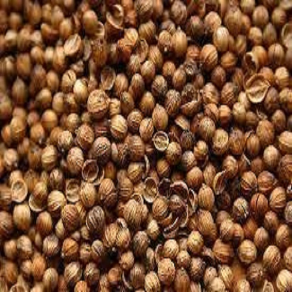hạt mùi khô ( hạt ngò ) gia vị bếp việt