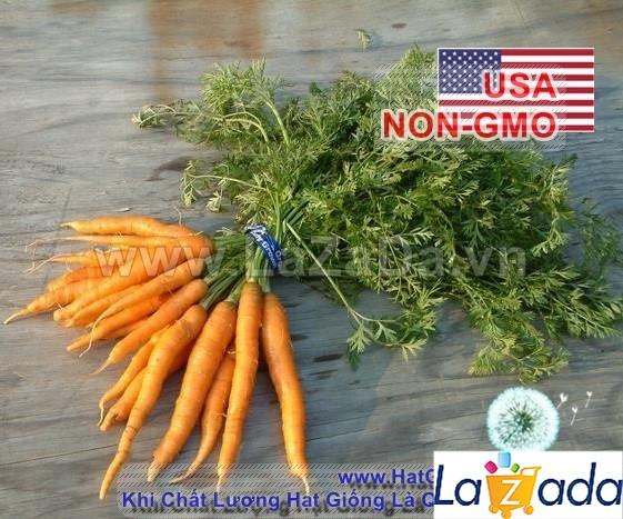 100h Hạt Giống Cà Rốt Baby Gourmet Pháp (A1.101| C29*W31*M601)