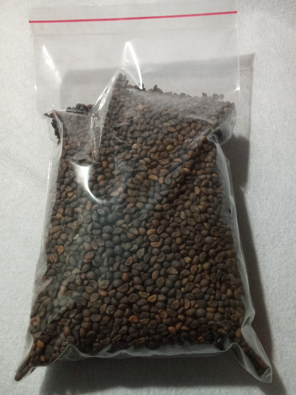 Gói 100 gram , hạt giống Rau Muống Lá Tre