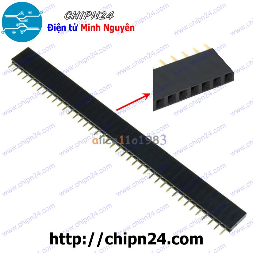 [3 cây] (TK1.2) Header Hàng rào Cái Đơn Vuông 40p 2.54MM