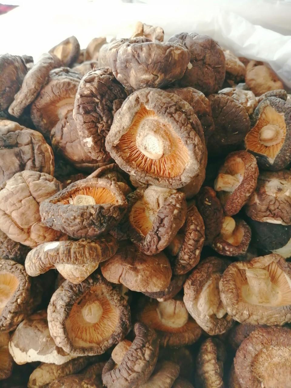 Nấm Đông Cô 100gr