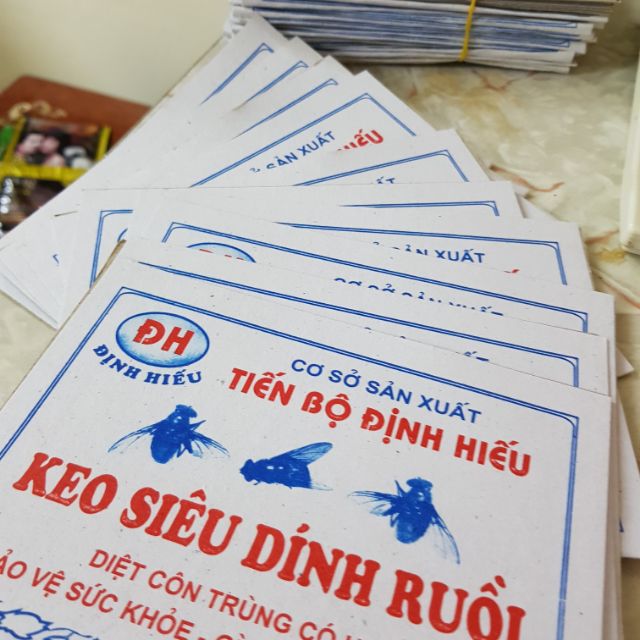 10 vỉ bẫy ruồi cực dính
