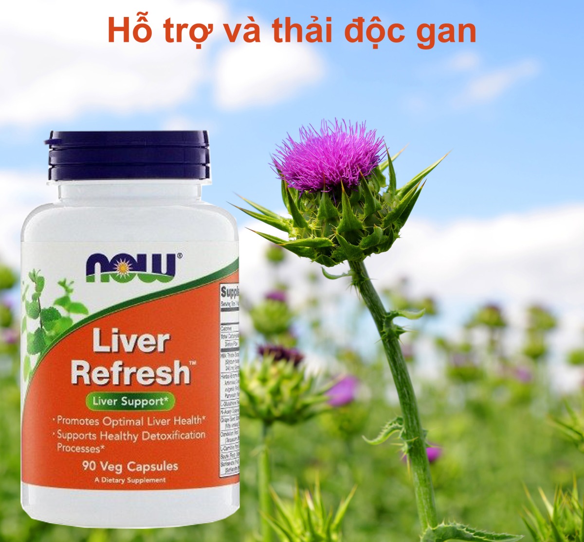 Hỗ trợ gan Now Liver Refresh 90viên 180viên
