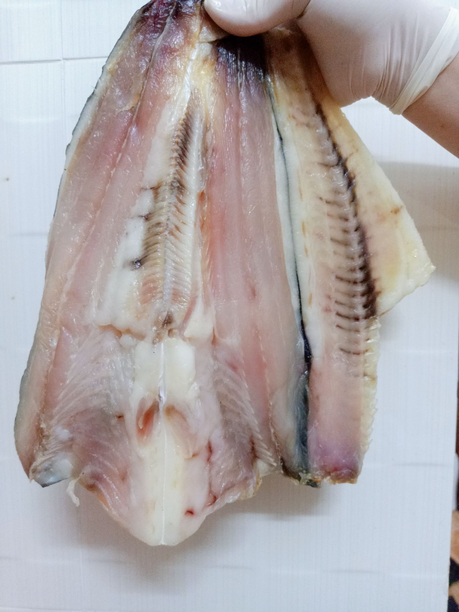 [HCM]CÁ DỨA 1 NẮNG NHÀ LÀM