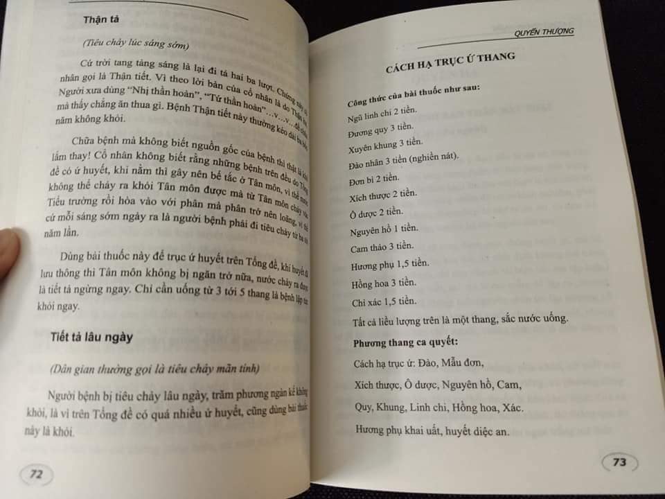 Sách Y Lâm Cải Thác