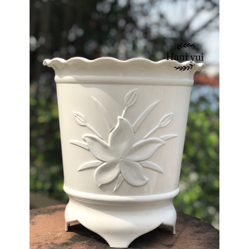 Chậu Nhựa Trồng Cây Size 4