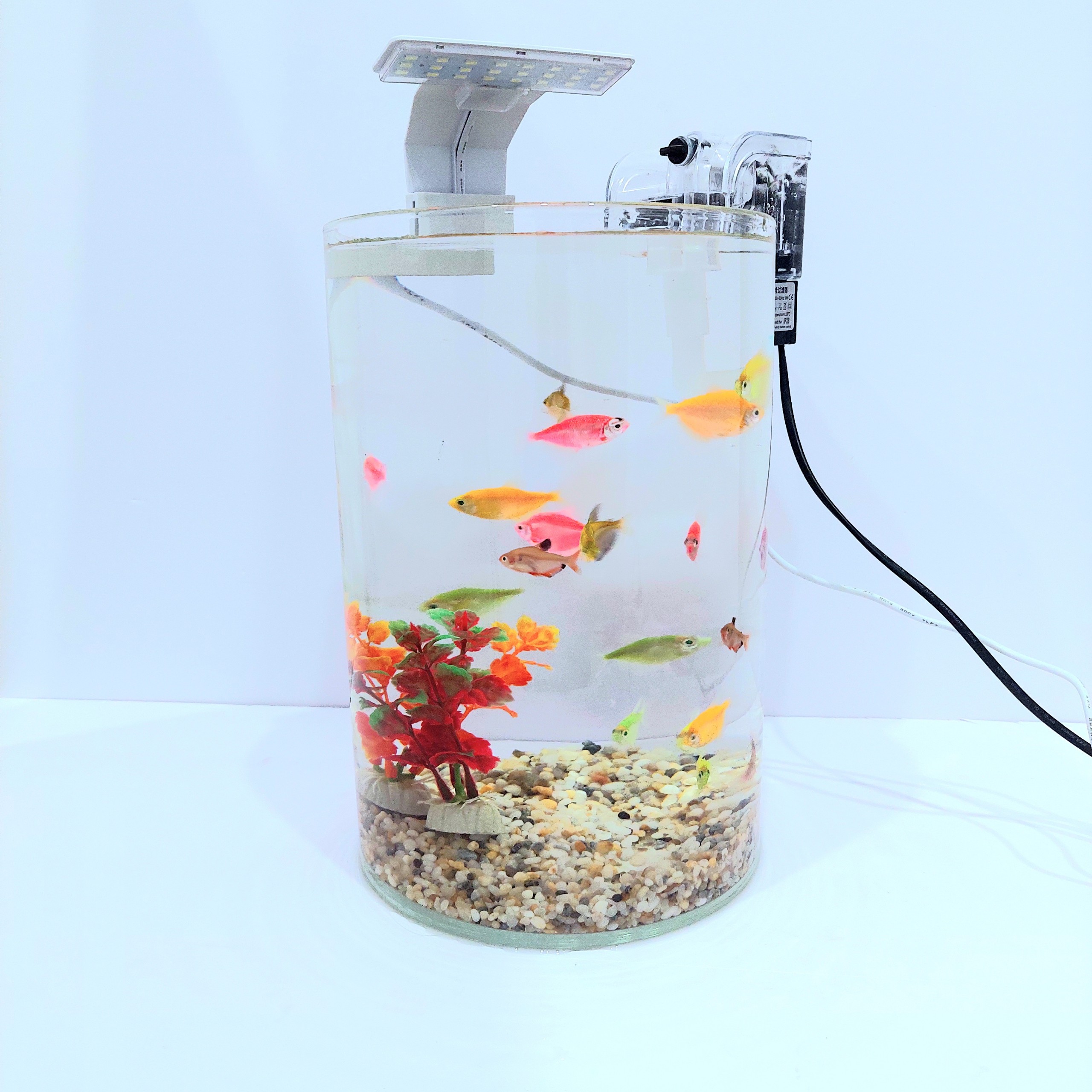 [Hoàn Tiền 10%] Bể cá mini tròn D20-H30 nhiều mẫu