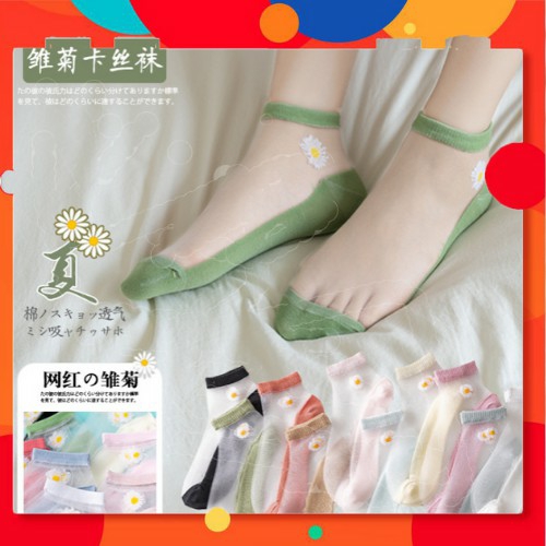 [HCM]VỚ TẤT LƯỜI NỮ COTTON PHỐI LƯỚI HỌA TIẾT HOA CÚC