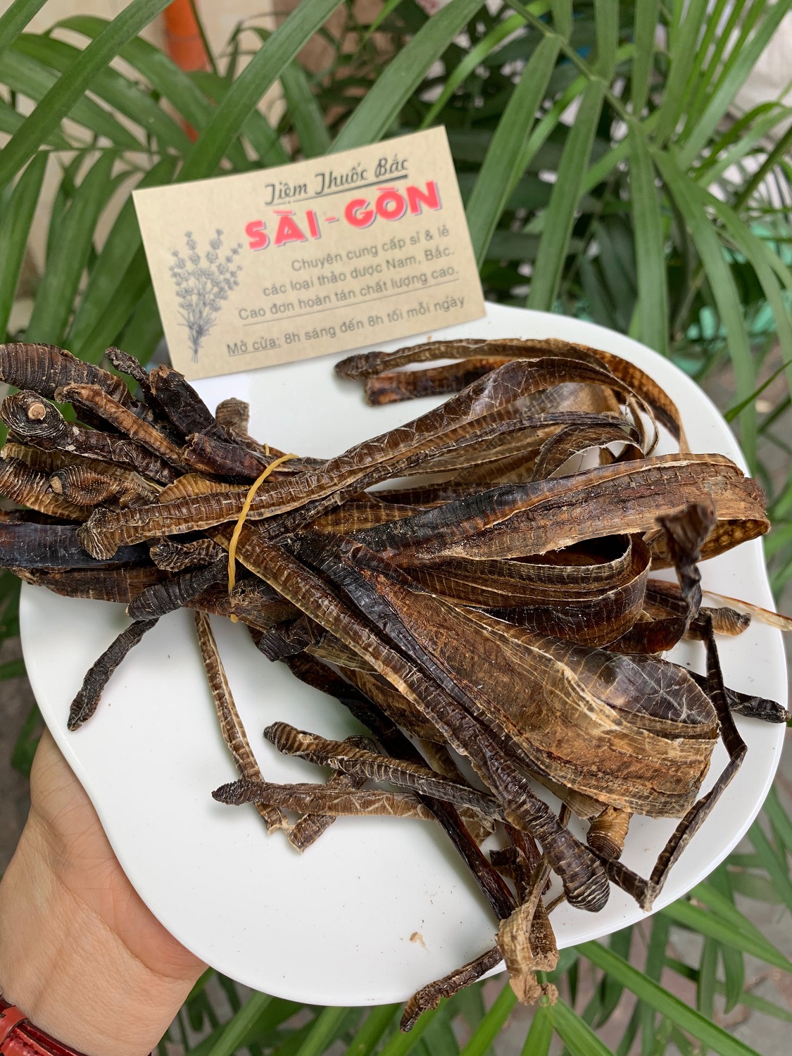 [HCM]Địa Long Khô Sạch Đẹp 100g