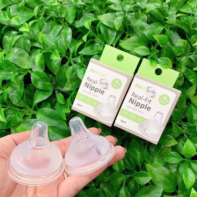 Núm ti thay thế bình Moyuum Hàn Quốc