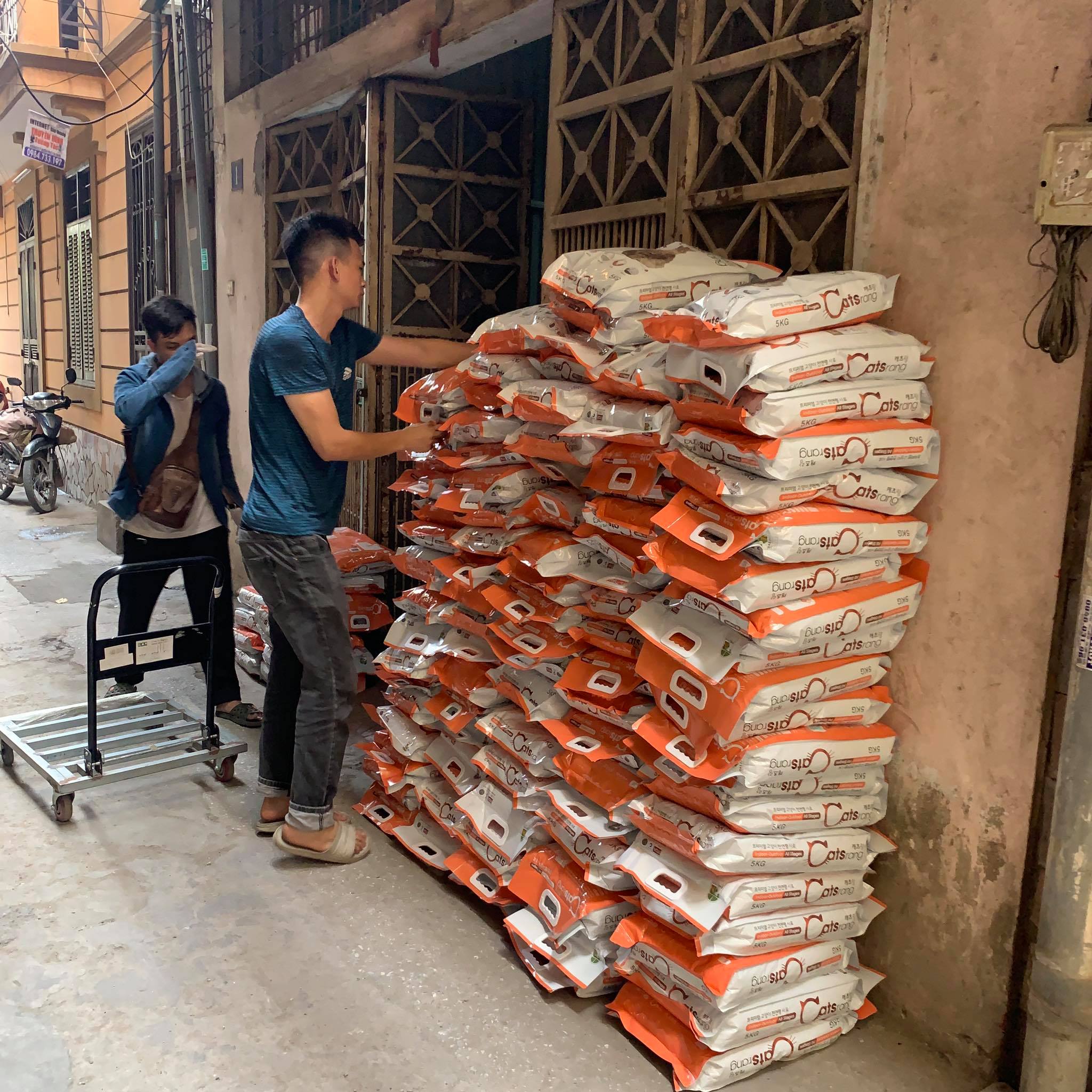 Hạt thức ăn cho mèo CatRang 5kg