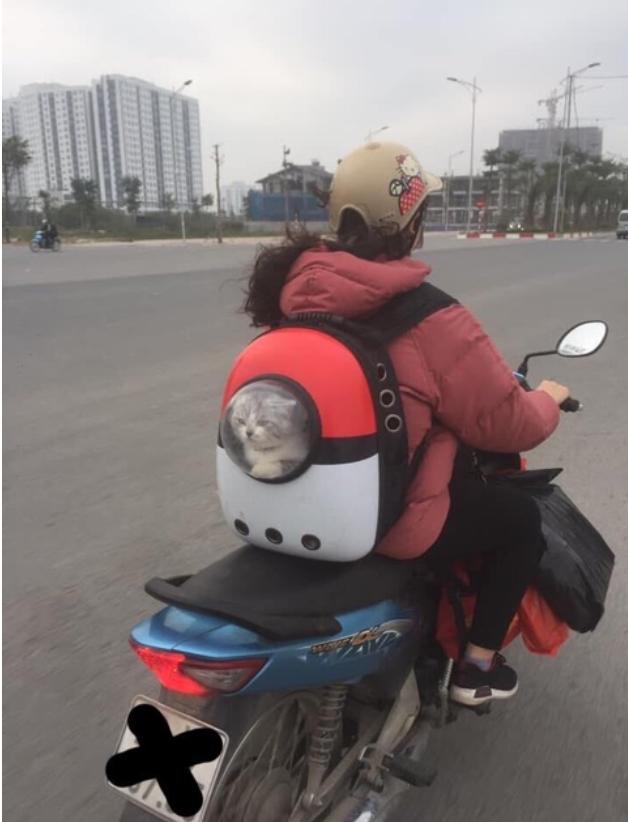 BA LÔ TÚI XÁCH VẬN CHUYỂN CHÓ MÈO THÚ CƯNG