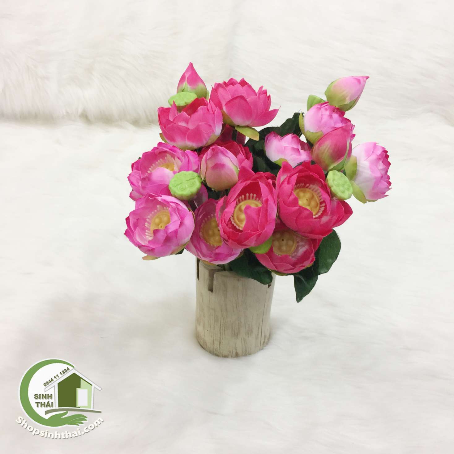 [HCM]Hoa Sen Giả - bụi sen nhỏ