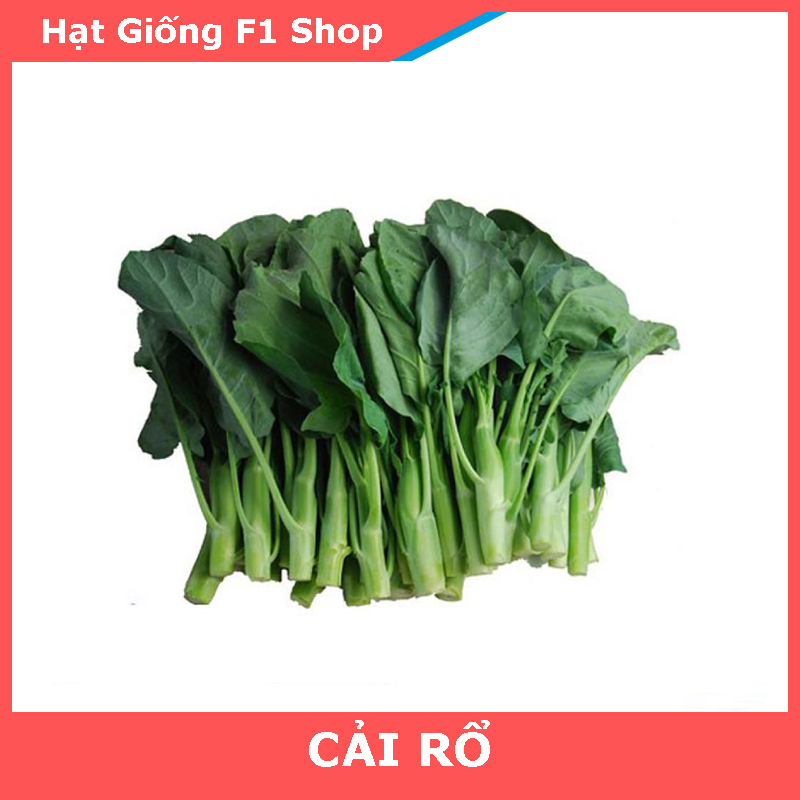 Hạt Giống Rau Cải Rổ Năng Suất Cao