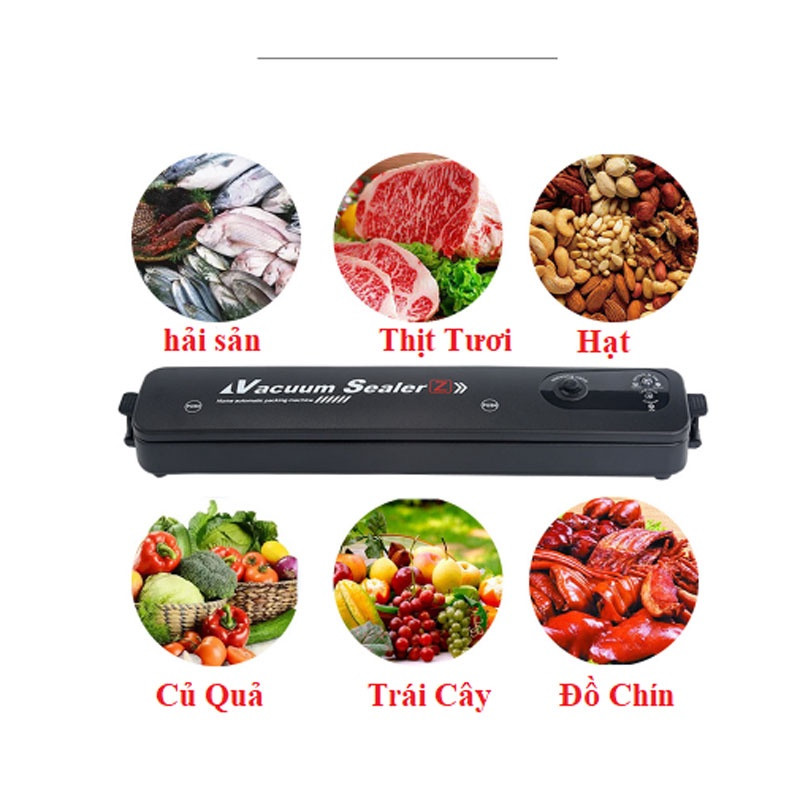 Máy hút chân không thực phẩm Vacuum Selaer