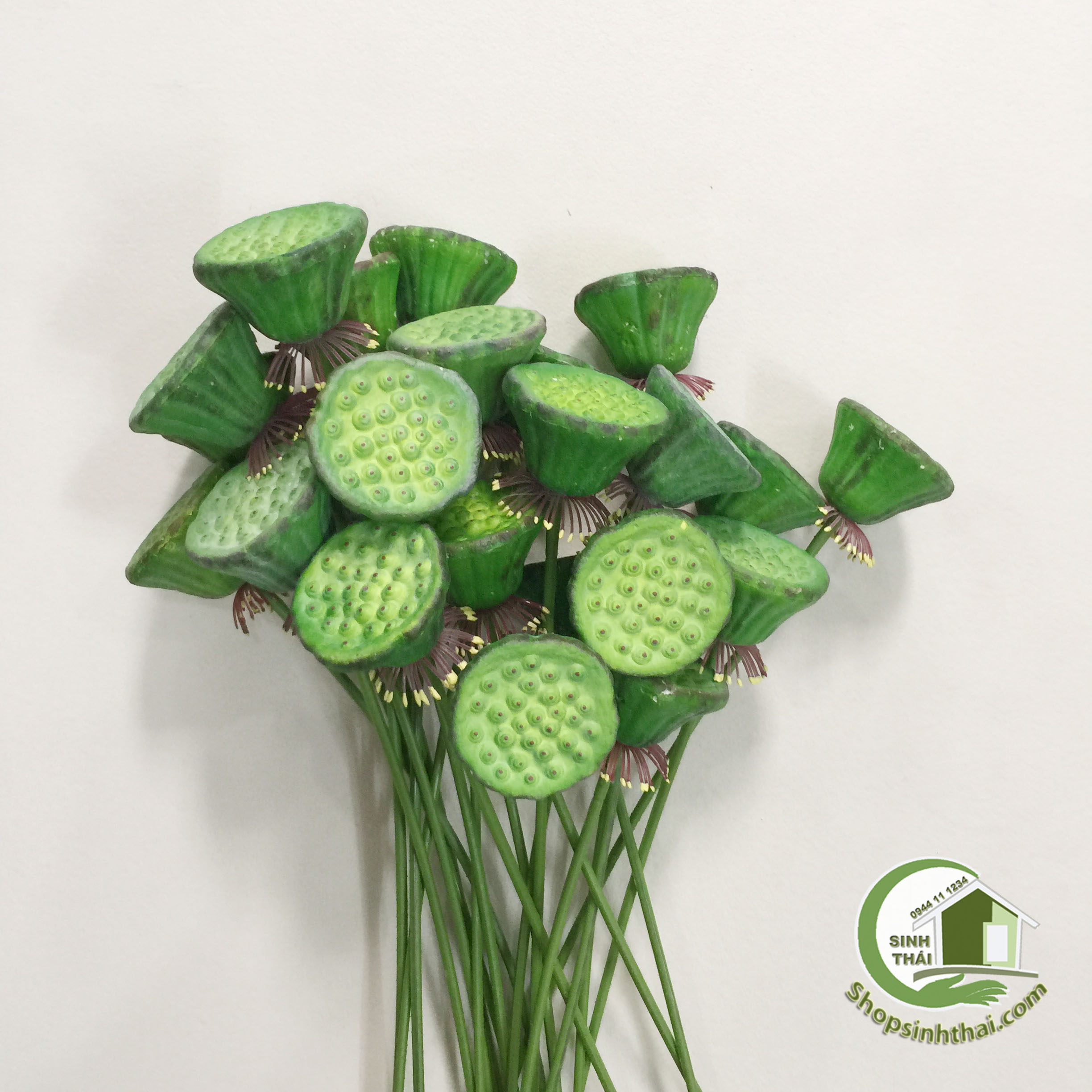 [HCM]Gương sen giả - gương sen cao cấp