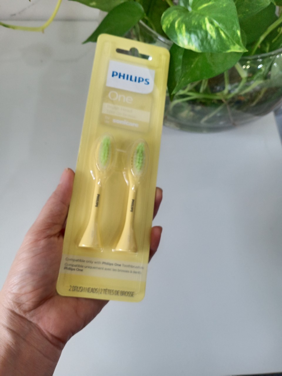[HCM]Đầu bàn chải thay thế bàn chải điện Philips One
