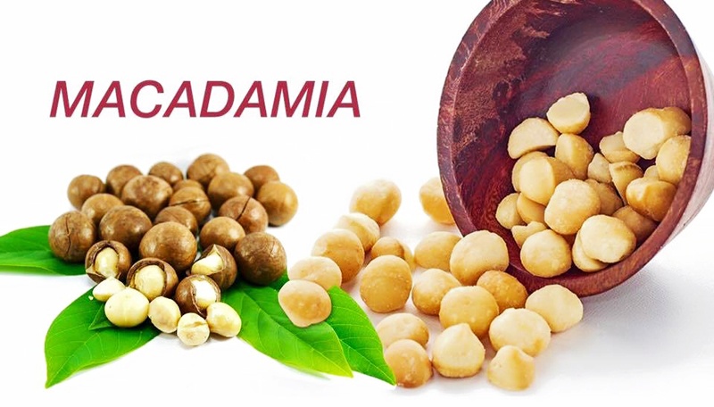 Quả Macca Đắk Lắk 500Gr