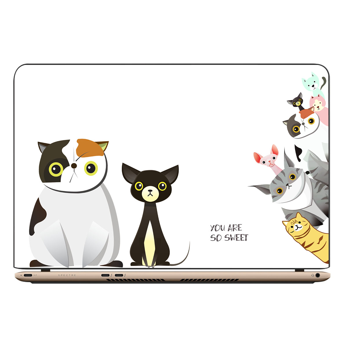 Decal dán LAPTOP, Máy tính bảng (kích thước 25x40 cm) - THUTHAODECOR