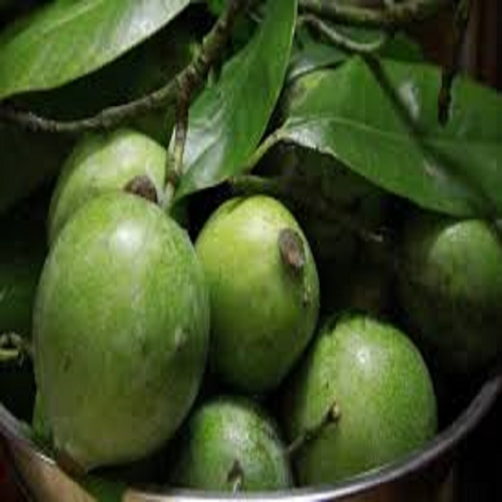 CÂY QUẢ DỌC NẤU CANH CHUA