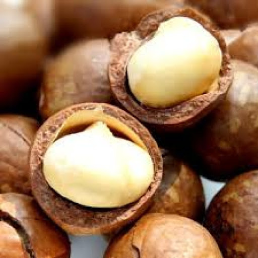 Hạt Mắc Ca Nứt Vỏ Hộp 500 Gram - Hạt Dinh Dưỡng