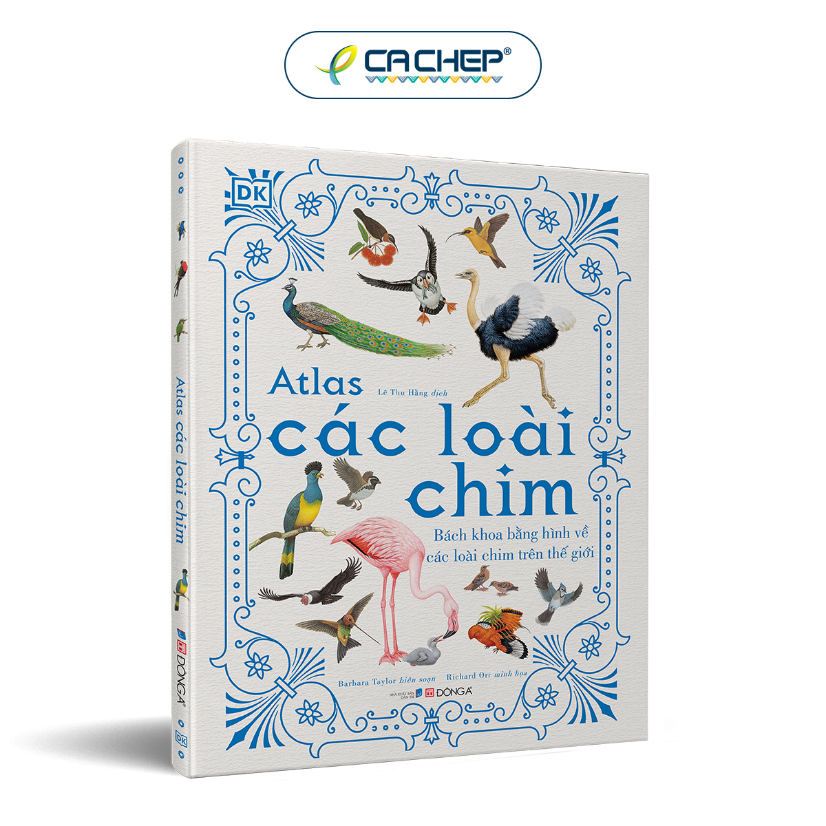 Cá Chép - Atlas các loài chim