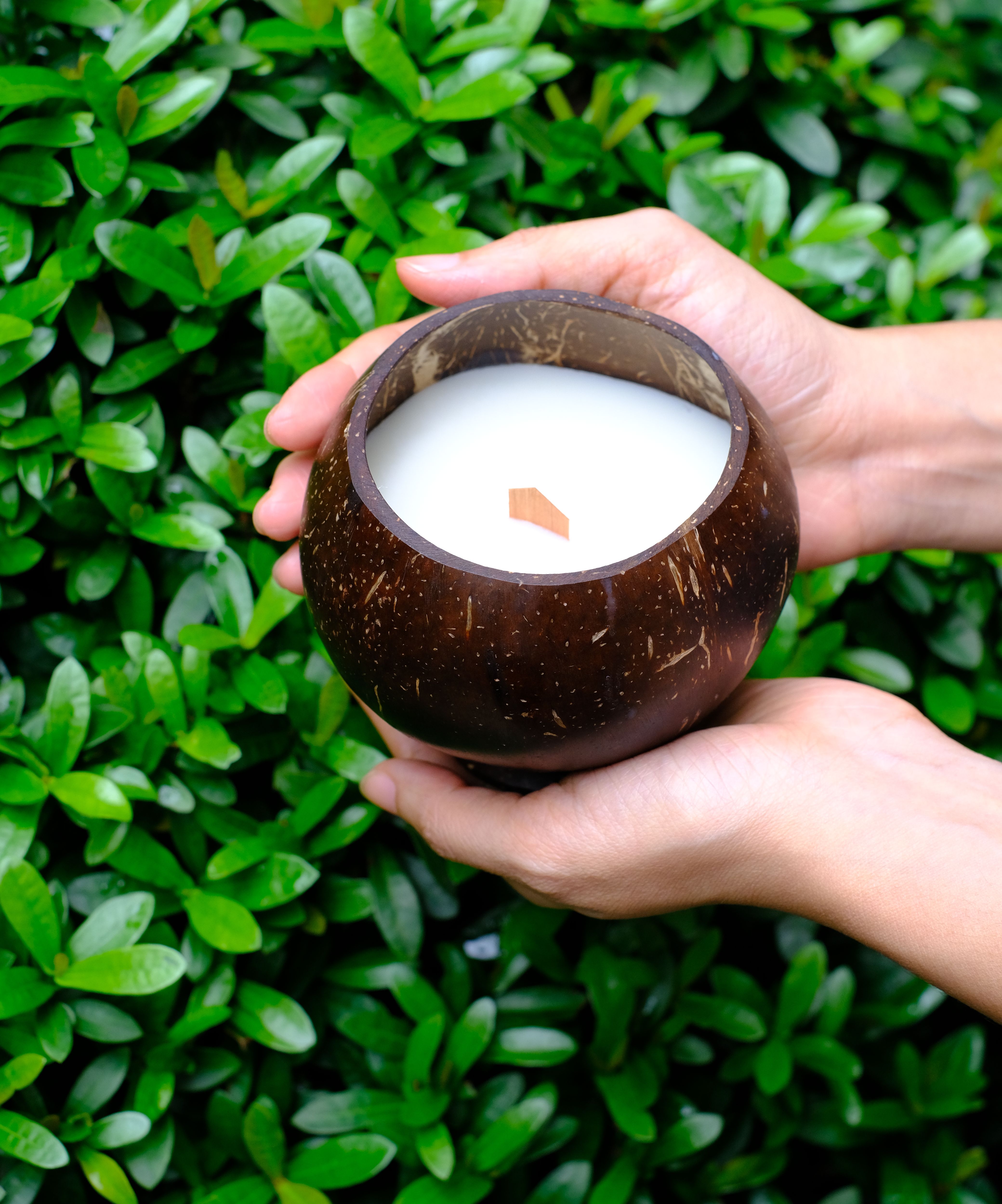 Nến thơm tinh dầu gáo dừa